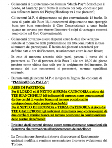 REGOLAMENTO PAG. 2